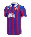 macron Crystal Palace Trikot 2025/2026 Trikot Herren - blau
