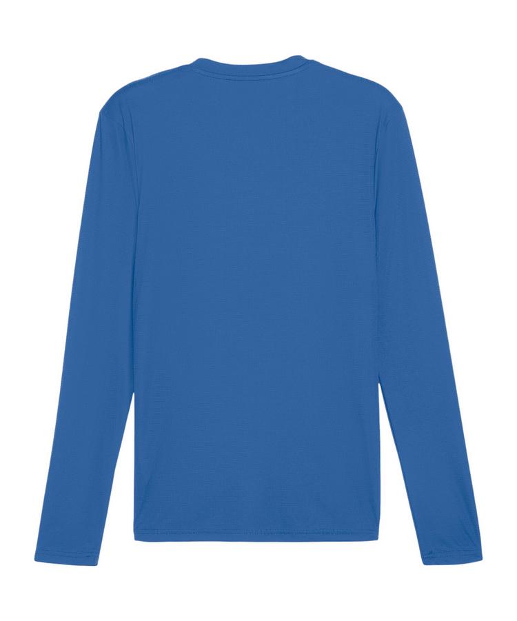 PUMA PUMA TeamGOAL Baselayer Longsleeve Funktionsshirt Herren - blaublau - 0 | SportScheck