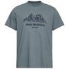 Jack Wolfskin CAREFREE T M T-Shirt Herren - JW grey odessa