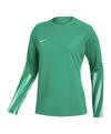 Nike Park V Torwarttrikot Langarm Damen Trikot Damen - gruenweiss