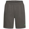 Jack Wolfskin CELEBRATE THE PAW SHORTS M Shorts Herren - flint