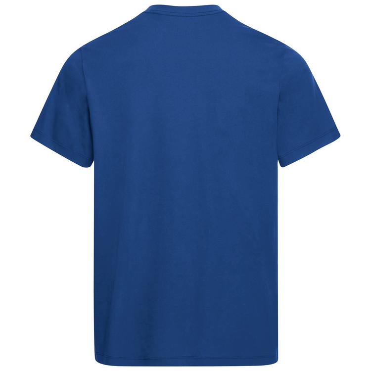 Jack Wolfskin Jack Wolfskin ESSENTIAL T M T-Shirt Herren - blue orchid - 0 | SportScheck