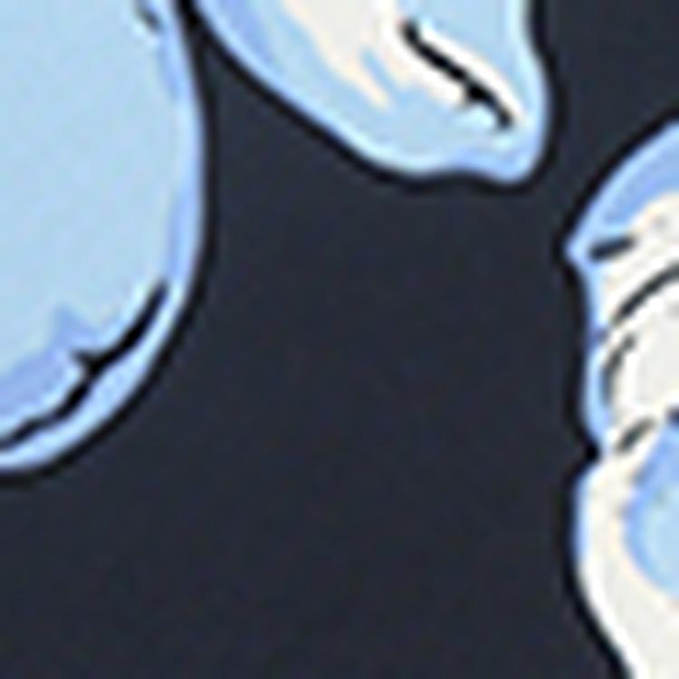 JOY sportswear JOY sportswear PENELOPE T-Shirt Damen - peony pink print - 9 | SportScheck