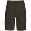 Jack Wolfskin DUNELAND CARGO SHORTS M Shorts Herren - obsidian moss