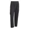 adidas Terrex Xploric CLIMA365 Cargohose Wanderhose Herren - Black