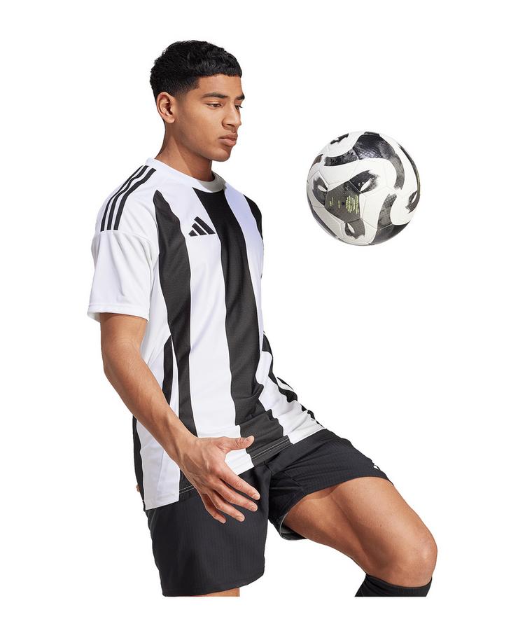 adidas adidas Striped 24 Trikot Trikot Herren - weissschwarz - 3 | SportScheck