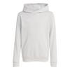 adidas Entrada 26 Kids Hoodie Hoodie Kinder - Team Light Grey / White