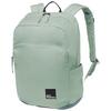 Jack Wolfskin TERRAVIEW Daypack - green zinnia