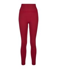 Falke Tights Damen - ruby (8830)