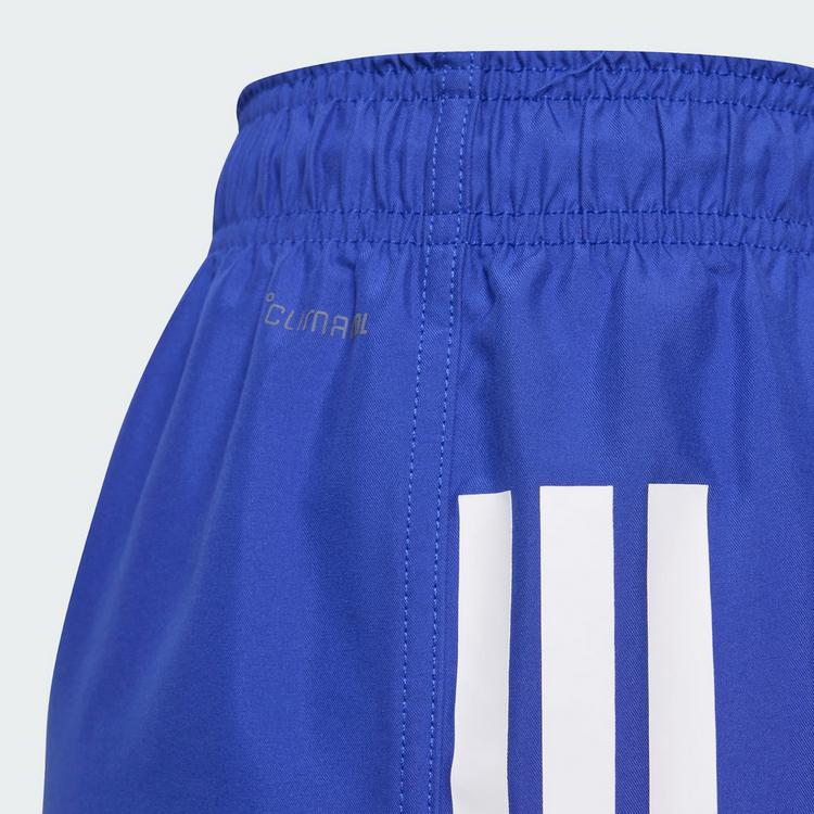 adidas adidas FFR Rugby Matchshorts Teens Funktionsshorts Kinder - Semi Lucid Blue - 3 | SportScheck