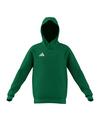 adidas Entrada 26 Hoody Kids Funktionssweatshirt Kinder - gruenweiss