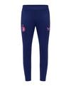 Castore Feyenoord terdam Knit Trainingshose Trainingshose - blaurosa