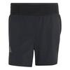 adidas Terrex Xperior CLIMA365 Shorts Laufshorts Herren - Black