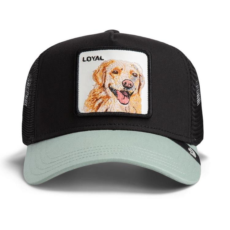 GOORIN BROS. GOORIN BROS. Cap Cap - The Loyal Dog - 0 | SportScheck