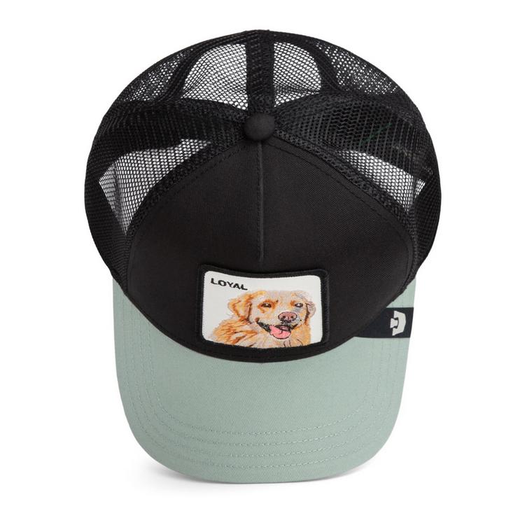 GOORIN BROS. GOORIN BROS. Cap Cap - The Loyal Dog - 2 | SportScheck