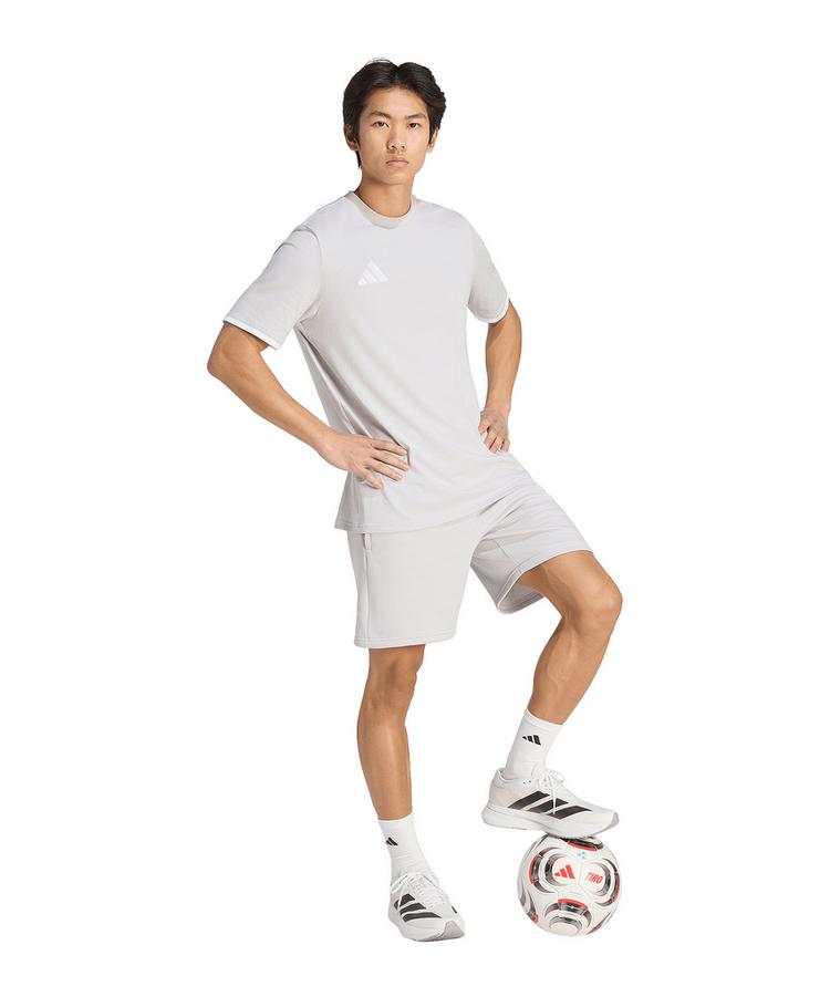 adidas adidas Entrada 26 T-Shirt Wei&szlig; Funktionsshirt Herren - grauweiss - 0 | SportScheck