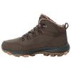 Jack Wolfskin EVERQUEST TEXAPORE MID M Winterschuhe Herren - cold coffee