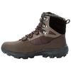 Jack Wolfskin EVERQUEST TEXAPORE HIGH M Winterschuhe Herren - cold coffee