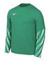 Nike Park V Trikot langarm Trikot Herren - gruenweiss