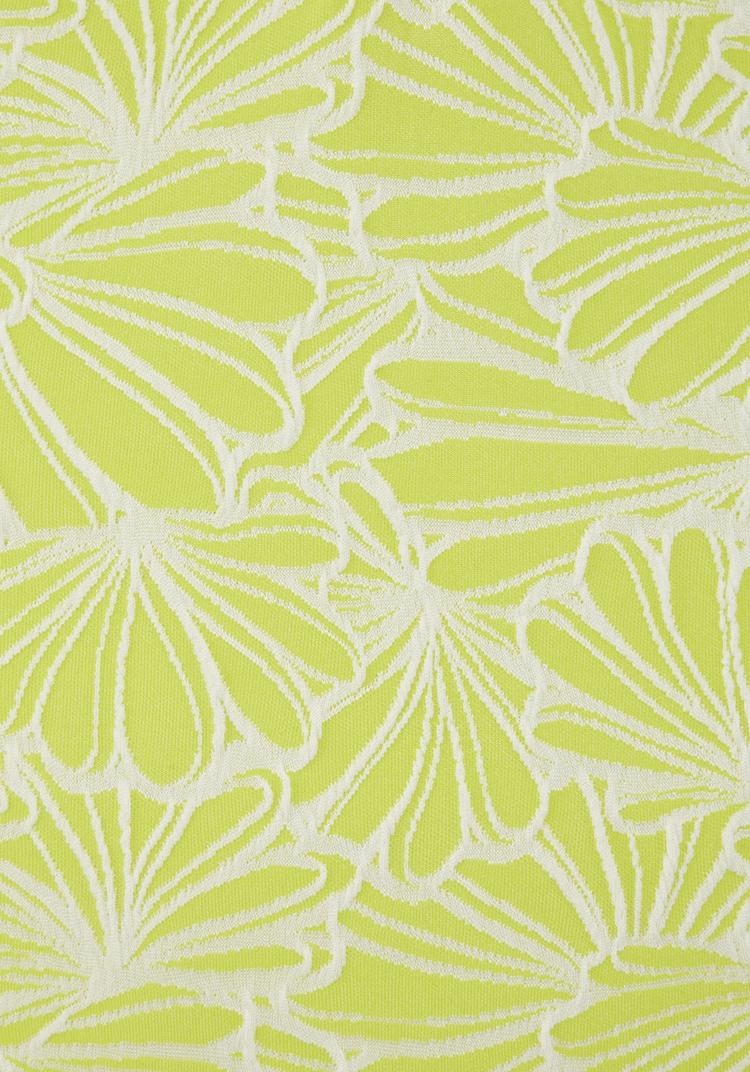 VENICE BEACH VENICE BEACH Badeanzug Badeanzug Damen - lime - 0 | SportScheck