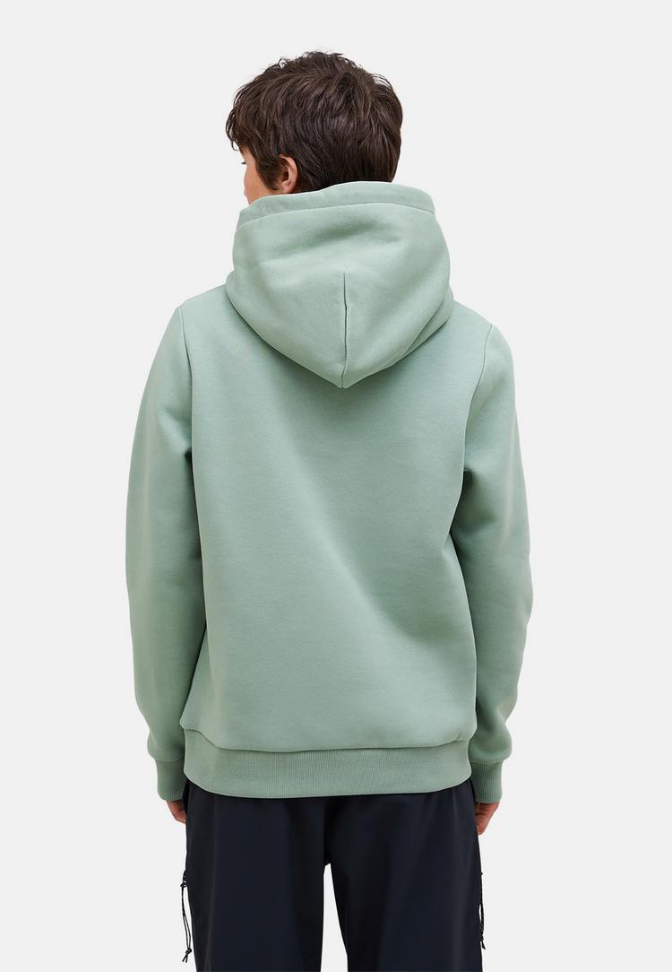 Peak Performance Peak Performance W Original Small Logo Hood Sweatshirt Damen - SALBEI - 3 | SportScheck