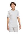 adidas Entrada 26 Trainingsshirt Kids Funktionsshirt Kinder - grauweiss