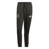 adidas AUDI FORMULA ONE TEAM DNA HOSE Fahrradhose Herren - Utility Black