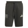 adidas AUDI&nbsp;REVOLUT&nbsp;F1&nbsp;TEAM&nbsp;DNA&nbsp;SHORTS Fahrradshorts Herren - Utility Black