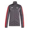 adidas AUDI&nbsp;REVOLUT&nbsp;F1&nbsp;TEAM&nbsp;DNA&nbsp;TRAININGSJACKE Hoodie Damen - Utility Black