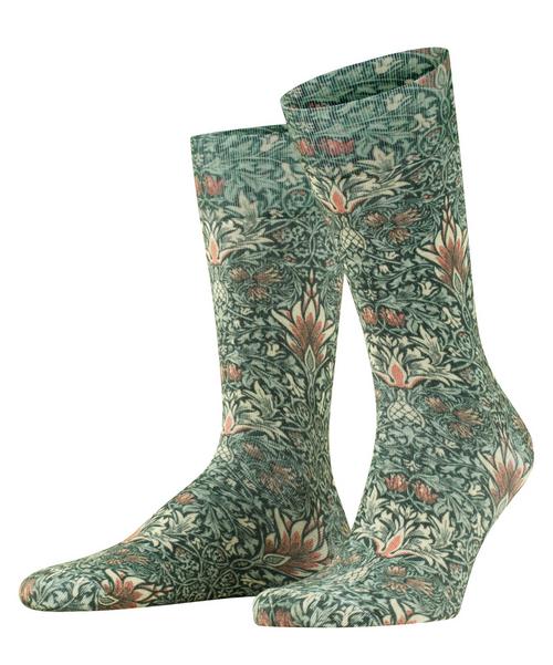 Burlington Snakeshead Socken Herren
