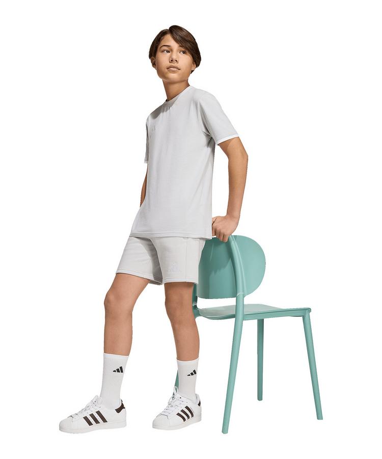 adidas adidas Entrada 26 Short Kids Fu&szlig;ballshorts Kinder - grauweiss - 0 | SportScheck