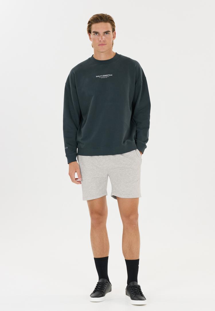 Virtus Virtus Minne Funktionsshorts Herren - 1005 Light Grey Melange - 1 | SportScheck