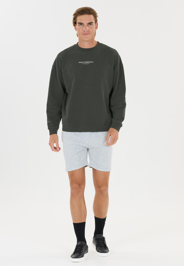 Virtus Virtus Idan Sweatshirt Herren - 3278 Forest River - 0 | SportScheck