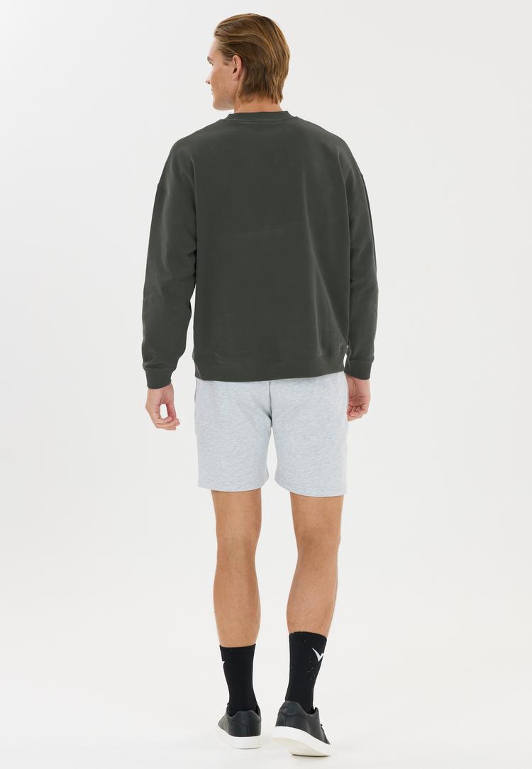 Virtus Virtus Idan Sweatshirt Herren - 3278 Forest River - 2 | SportScheck