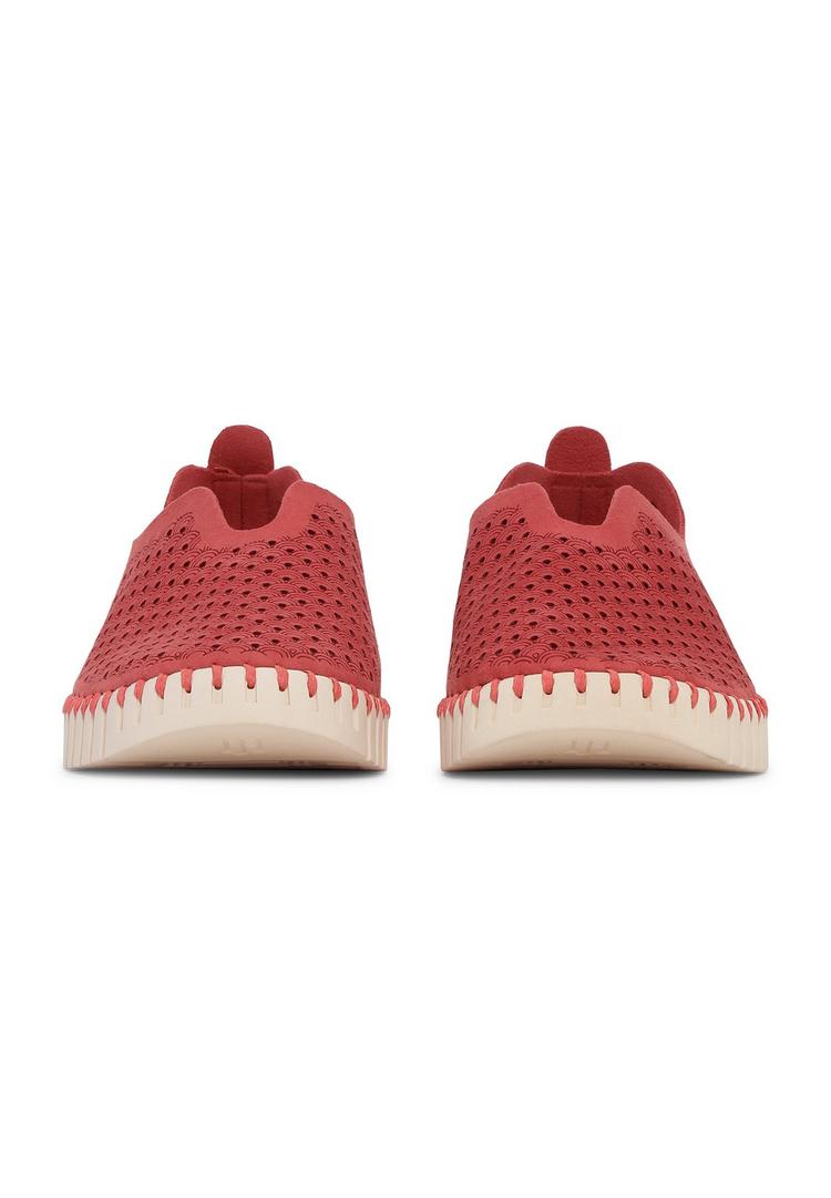 Ilse Jacobsen Ilse Jacobsen TULIP3275 Sneaker Damen - Baked Apple Pearled Ivory - 2 | SportScheck