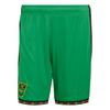 adidas Jamaica 26 Heimshorts Fu&szlig;ballshorts Herren - Vivid Green