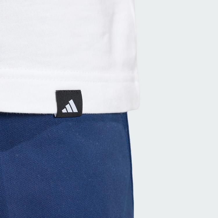 adidas adidas AUDI REVOLUT F1 TEAM GABRIEL BORTOLETO Printshirt Herren - White / Green - 1 | SportScheck