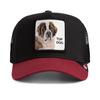 GOORIN BROS. Cap Cap - The Top Dog