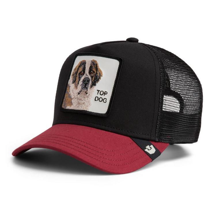 GOORIN BROS. GOORIN BROS. Cap Cap - The Top Dog - 0 | SportScheck