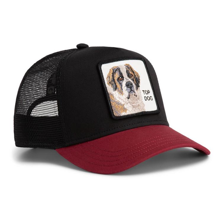 GOORIN BROS. GOORIN BROS. Cap Cap - The Top Dog - 1 | SportScheck