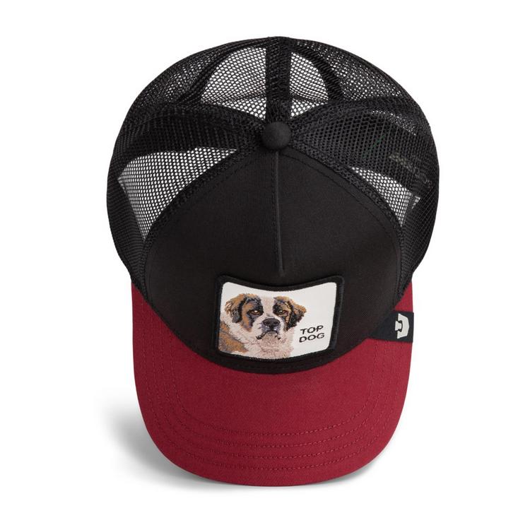 GOORIN BROS. GOORIN BROS. Cap Cap - The Top Dog - 3 | SportScheck