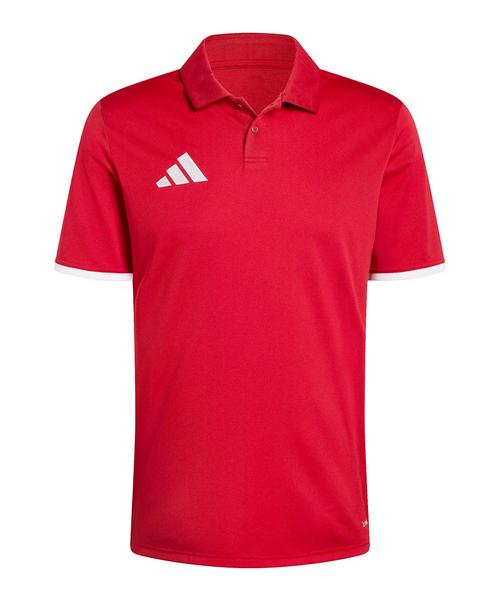 adidas Entrada 26 Polo Poloshirt Herren