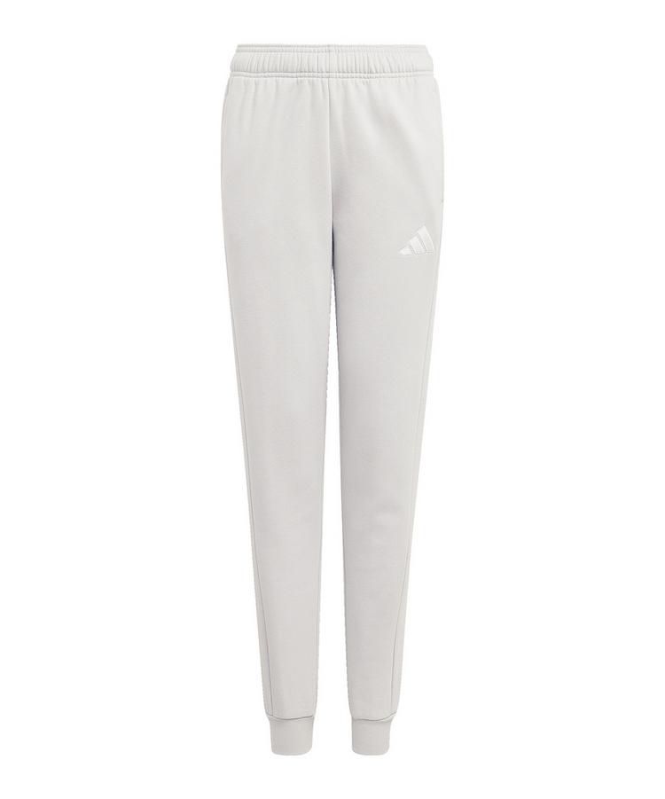 adidas adidas Entrada 26 Jogginghose Kids Trainingshose Kinder - grauweiss - 0 | SportScheck