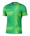 Nike Gardien VI Torwarttrikot Trikot Herren - gruenweiss