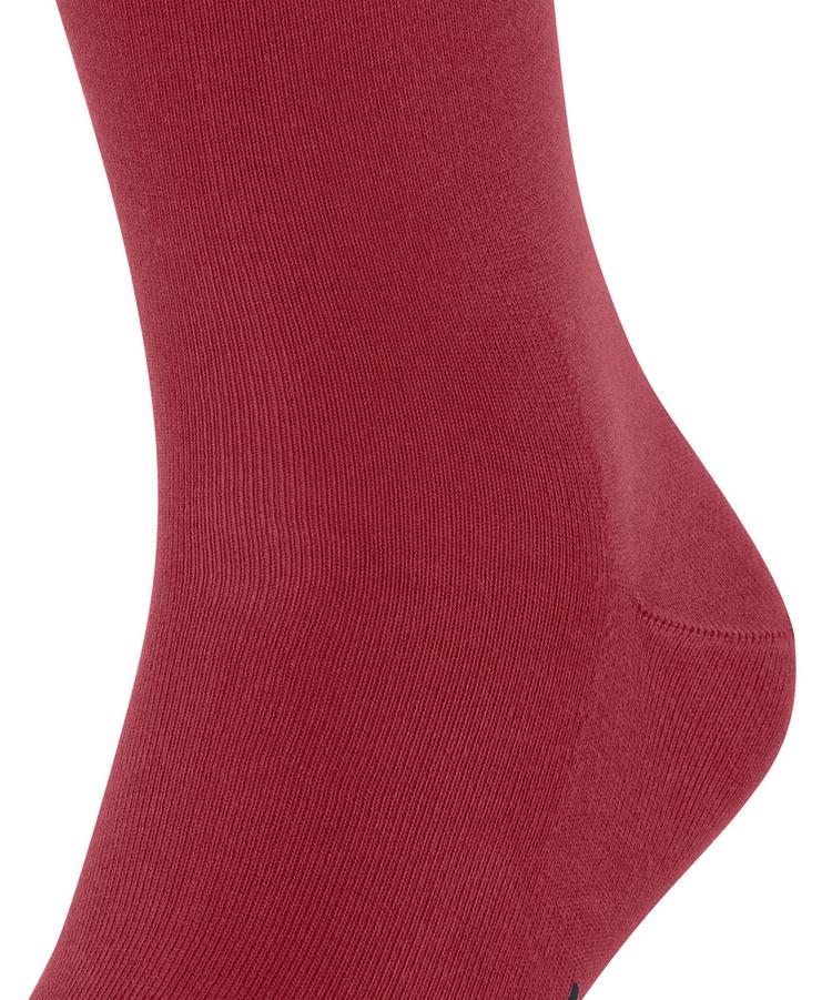 Falke Falke Cool 24/7 Socks Socken Herren - scarlet (8228) - 1 | SportScheck
