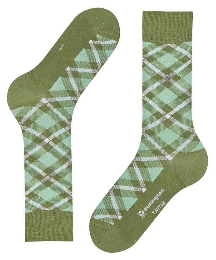 Burlington Burlington Tartan SO Socken Herren - salvia (7472) - 2 | SportScheck