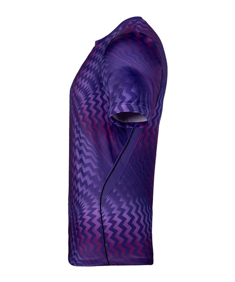 Nike Nike Gardien VI Torwarttrikot Trikot Herren - lilaweiss - 0 | SportScheck