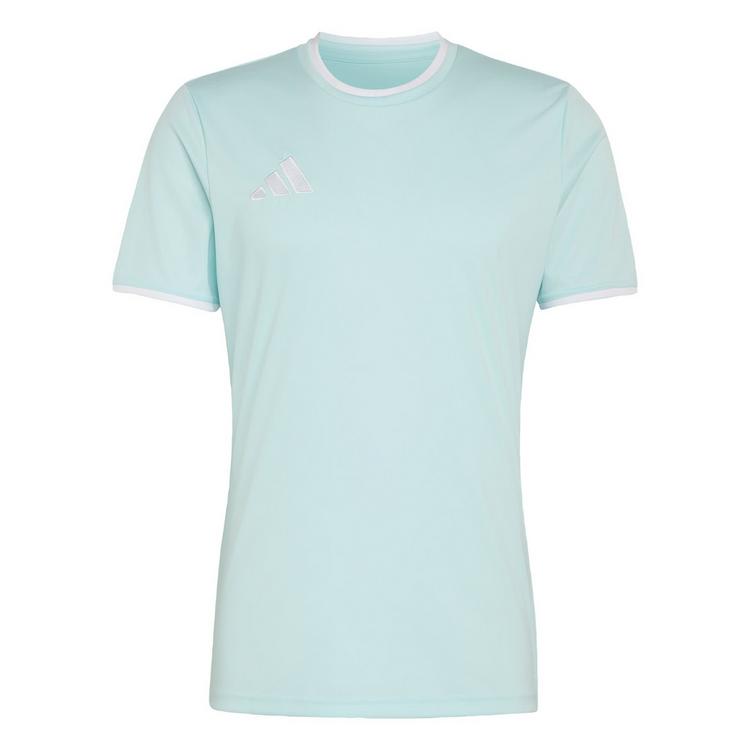 adidas adidas Entrada26 Trikot Trikot Herren - Halo Mint / White - 0 | SportScheck