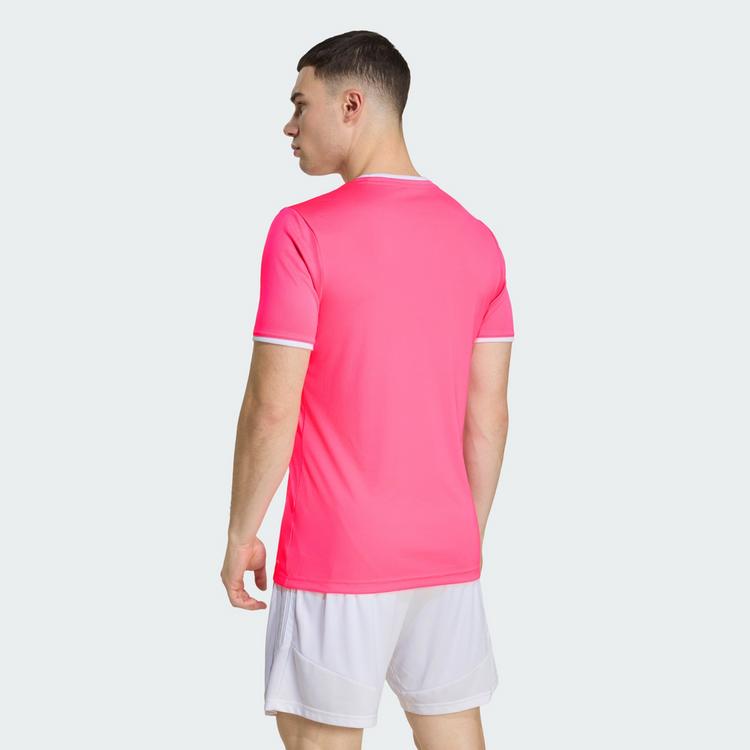 adidas adidas Entrada26 Trikot Trikot Herren - Solar Pink / White - 1 | SportScheck