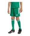 adidas Tiro 26 League Short Kids Fu&szlig;ballshorts Kinder - gruenweiss